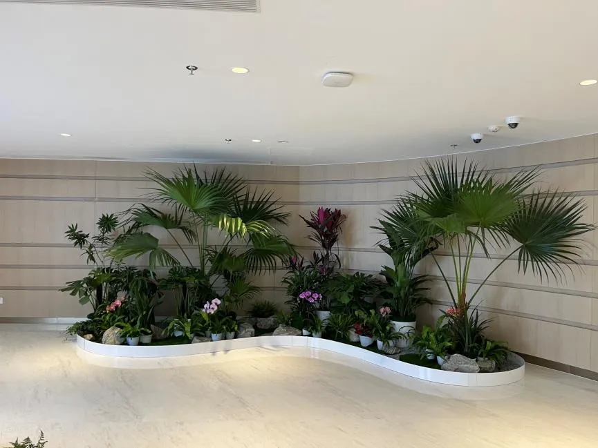 想给宁波镇海的家添生机？绿植出租来助力啦！